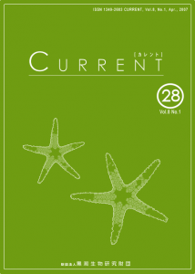 CURRENT Vol. 8, no. 1 通巻 28号の表紙